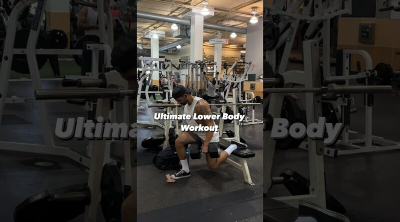 Intense Lower Body Workout Intense Lower Body Workout